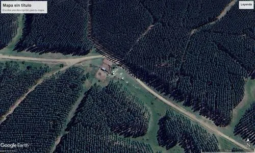Palmar de Porrúa — foto 5