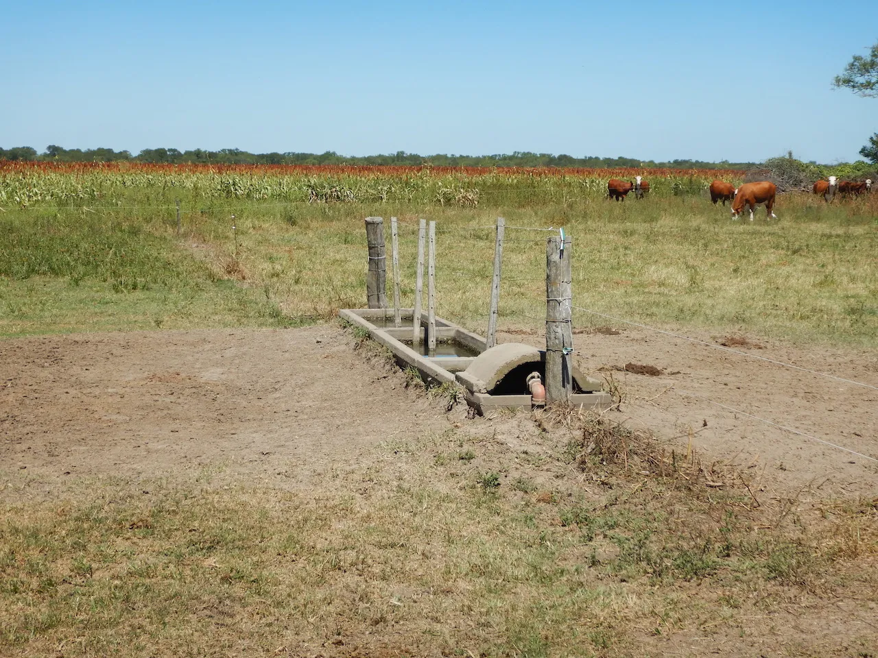 El Refugio — foto 26