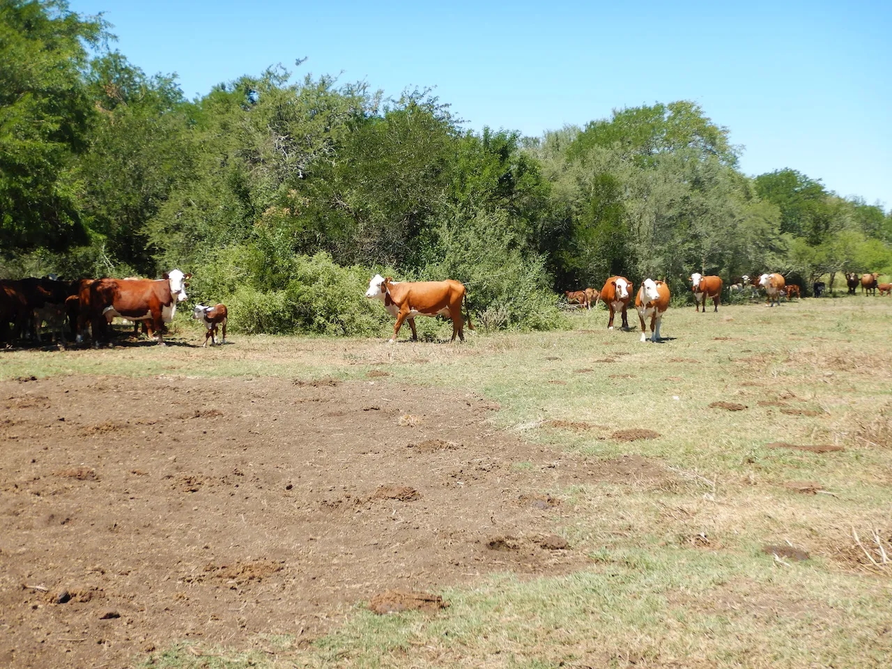 El Refugio — foto 28