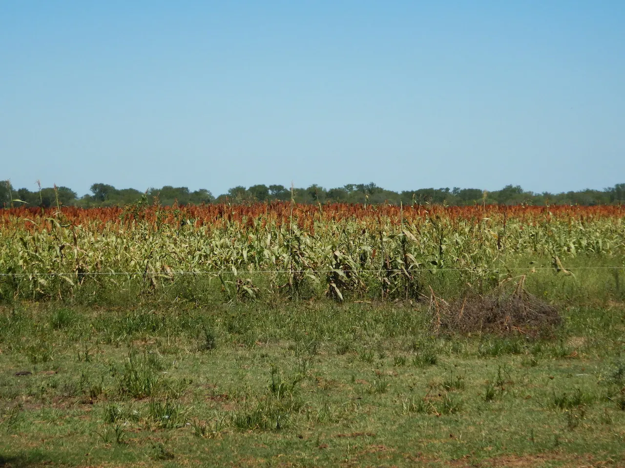 El Refugio — foto 34