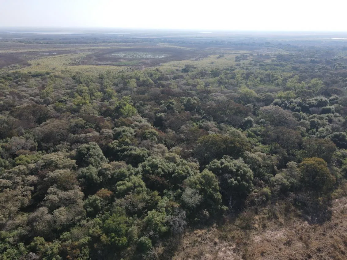 Isla Flor Azul — foto 3