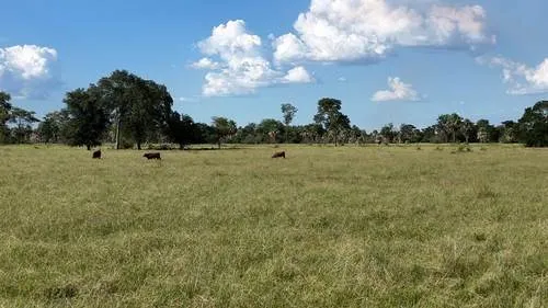 La Clorinda — foto 6