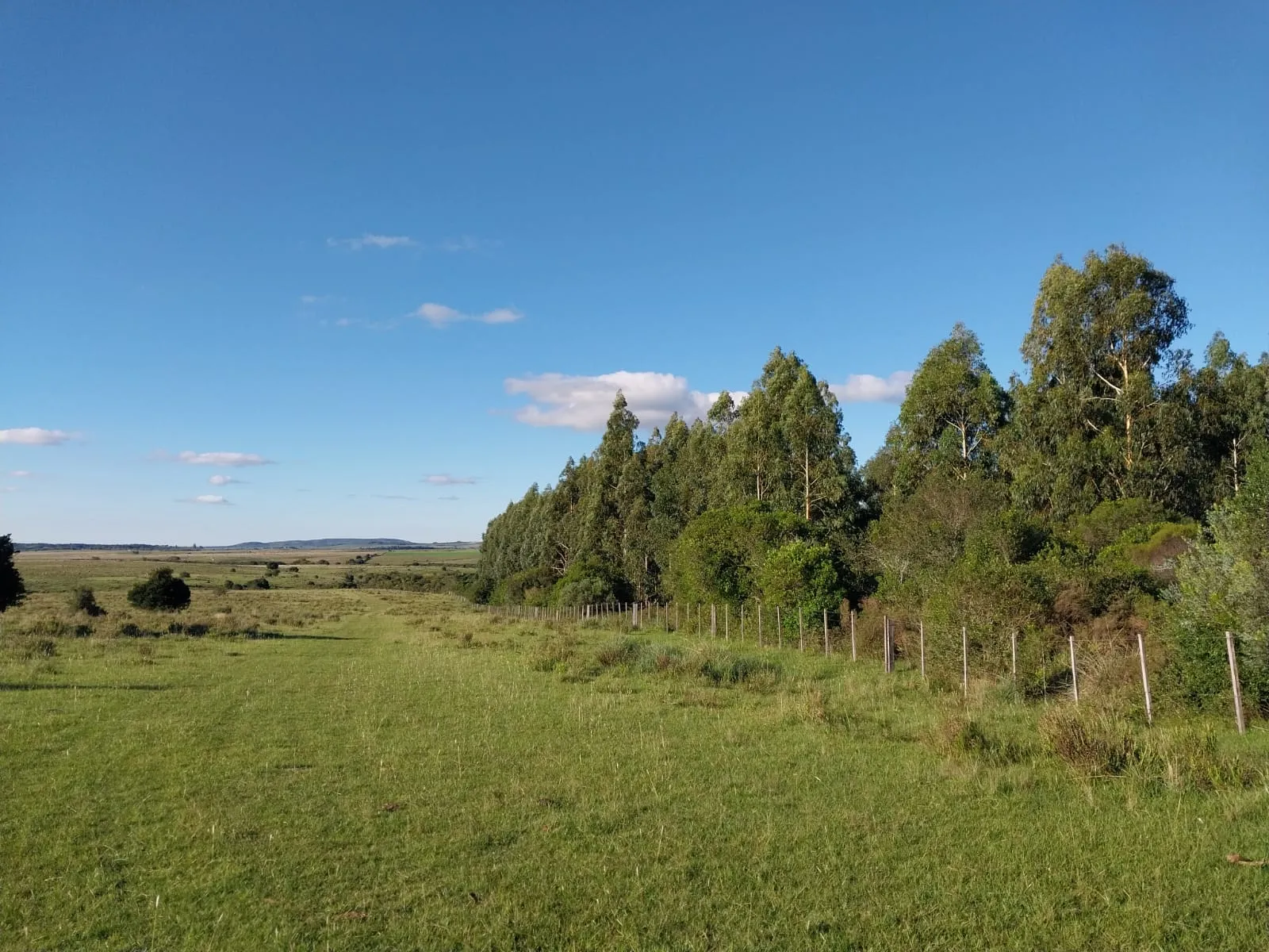 Magallanes — foto 1