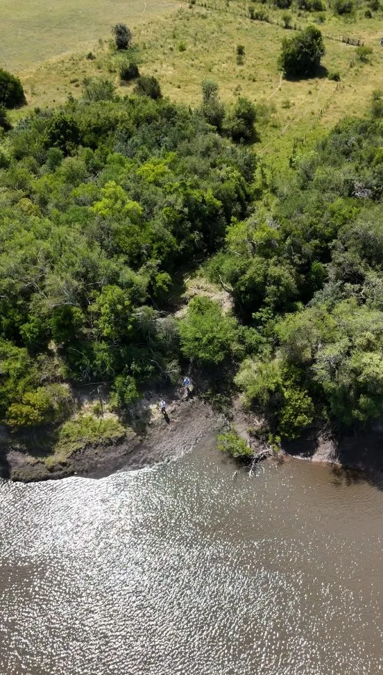 Magallanes — foto 16