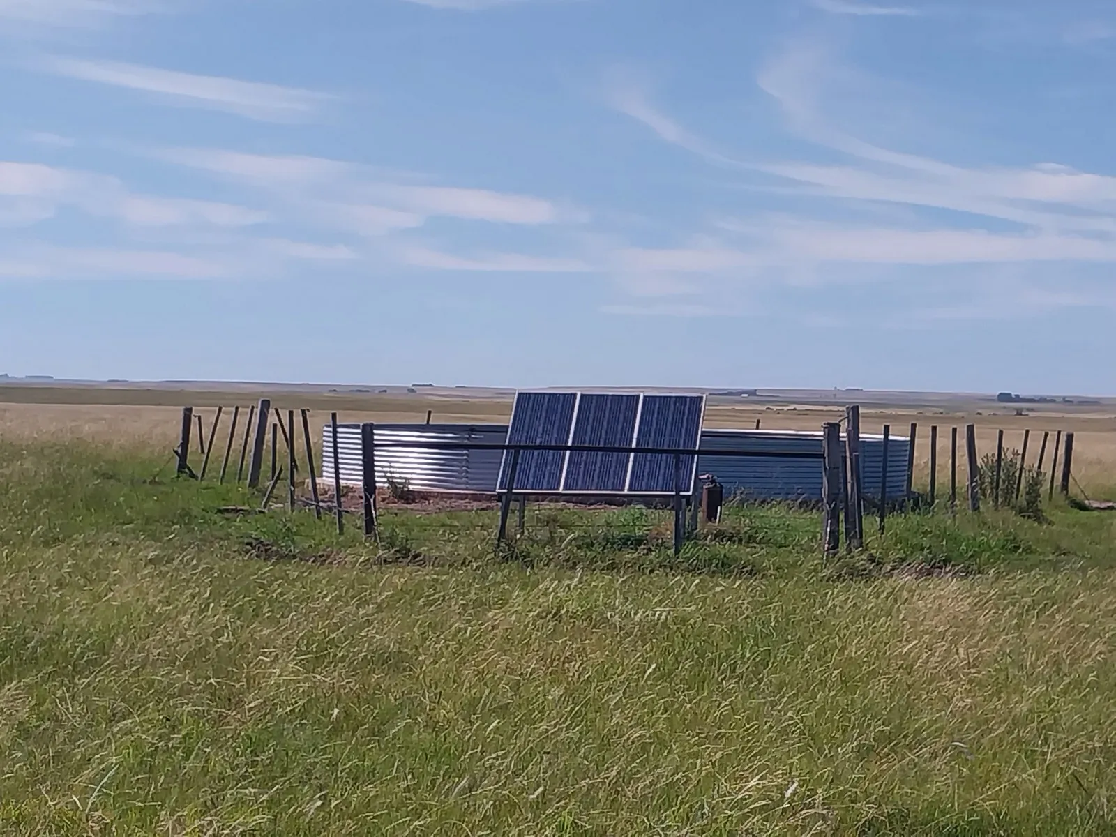 Piñera — foto 2
