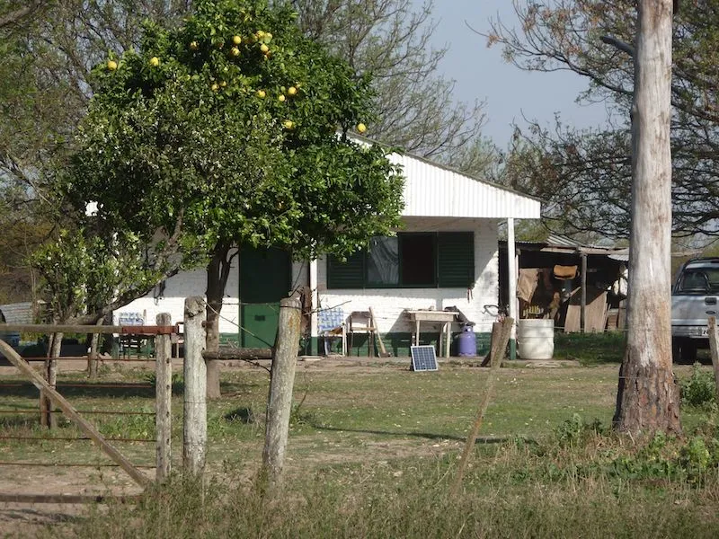 San José y El Guayacán — foto 6
