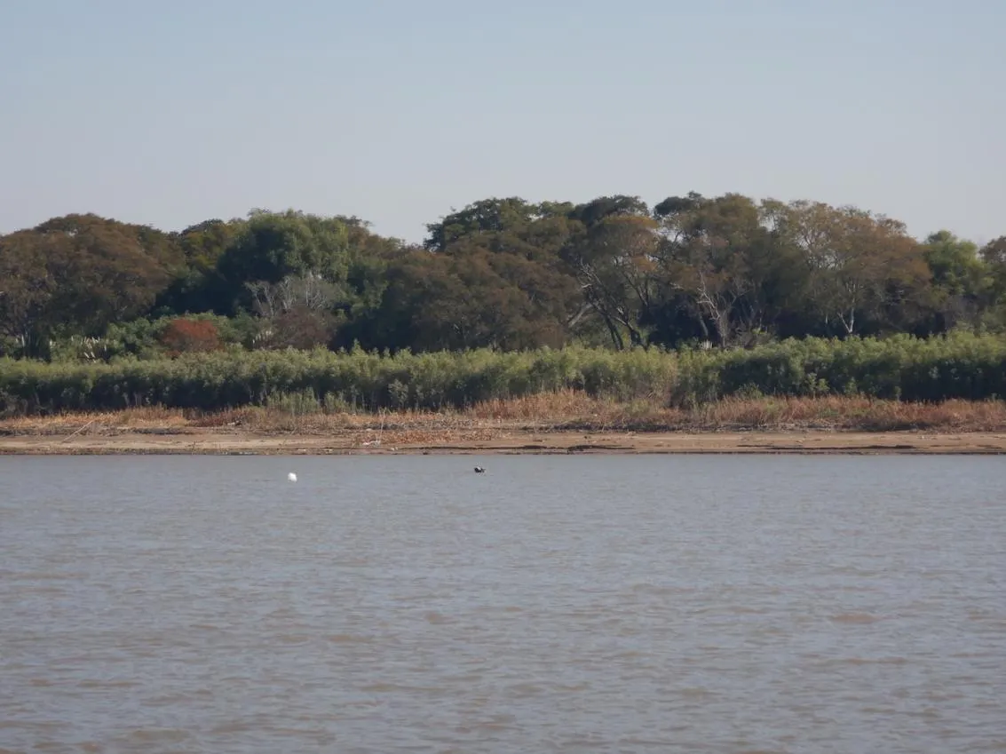 Isla Flor Azul